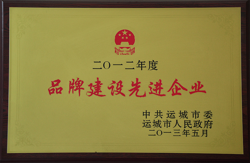 品牌建設(shè)先進企業(yè)